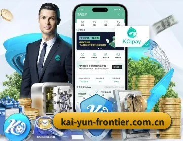 开云体育平台 APP