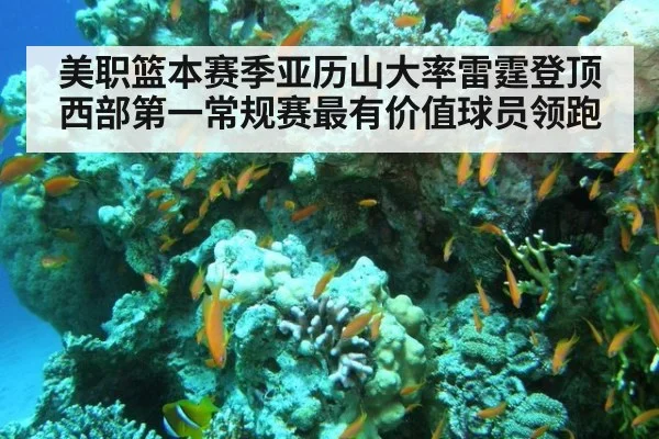美职篮本赛季亚历山大率雷霆登顶西部第一常规赛最有价值球员领跑